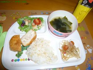 P1000059.JPG